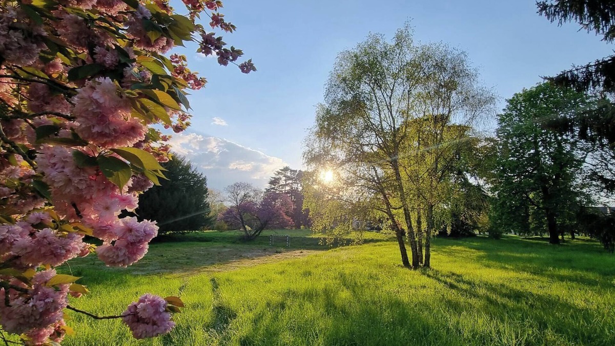 Benais House | Exceptional pavilion with direct access to the grounds of the Château Royal de Benays