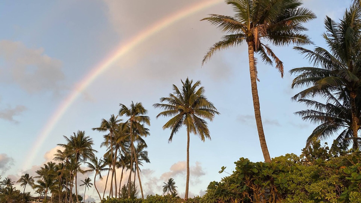 Waialee Apartment | Exceptionally Pristine Haleiwa North Shore Beachside Retreat