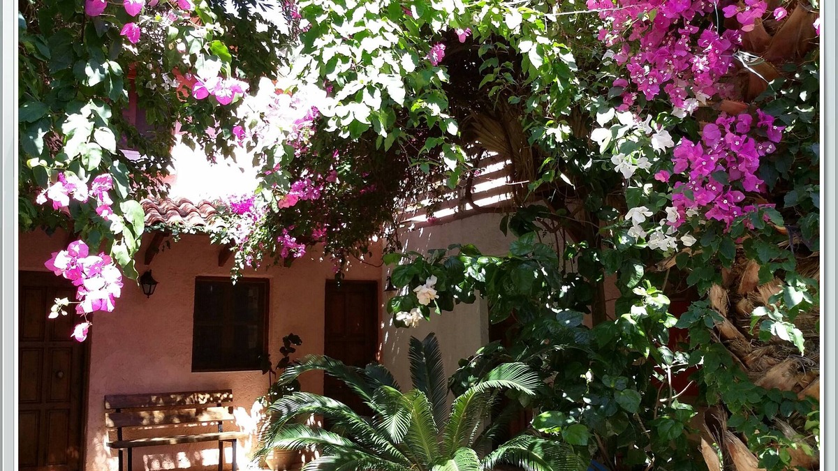 Palaiochora House | Exclusive Cottages in a quiet oliverove near the sea
