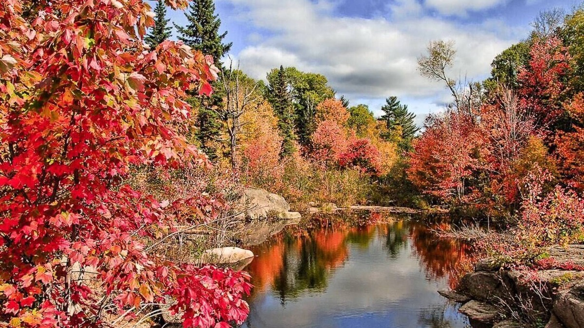 Dwight Cottage | Exclusive Forest Haven ~ Muskoka Luxury Estate