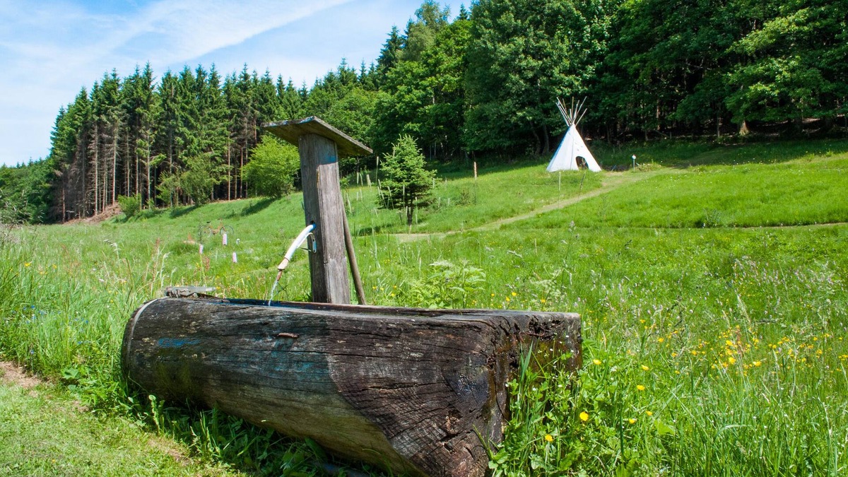 Bernshausen Apartment | Exclusive holiday apartment on the Rothaarsteig, child-friendly outdoor adventure