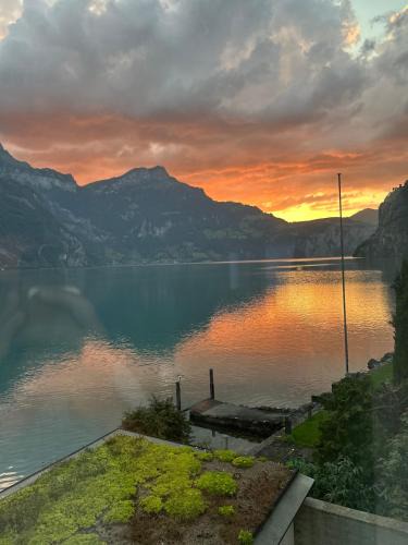 Flueelen Apartment | Exclusive Lake Access Villa Studio