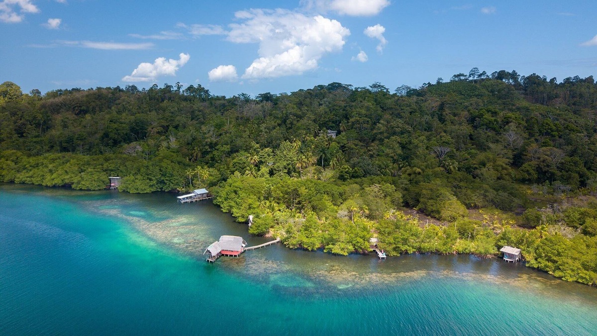 Tierra Oscura House | ✨Exclusive✨Jungle Retreat on Bioluminescent Lagoon