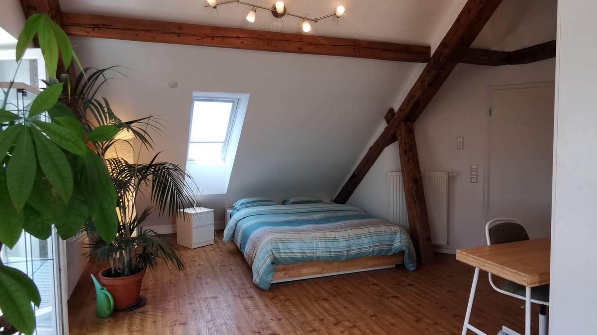 Klettgau Apartment | Exclusive penthouse apartment - Directly on the border to Switzerland/30 min. Zurich
