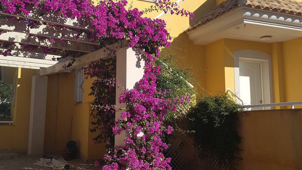 Los Puertos Villa | Exclusive Villa with pool, panoramic sea & mountain views