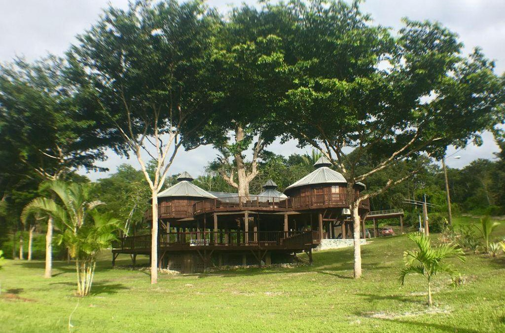 Bullet Tree Falls Villa | Exotic High End Unique Off-The-Grid Treehouse, steps away from the Mopan River!