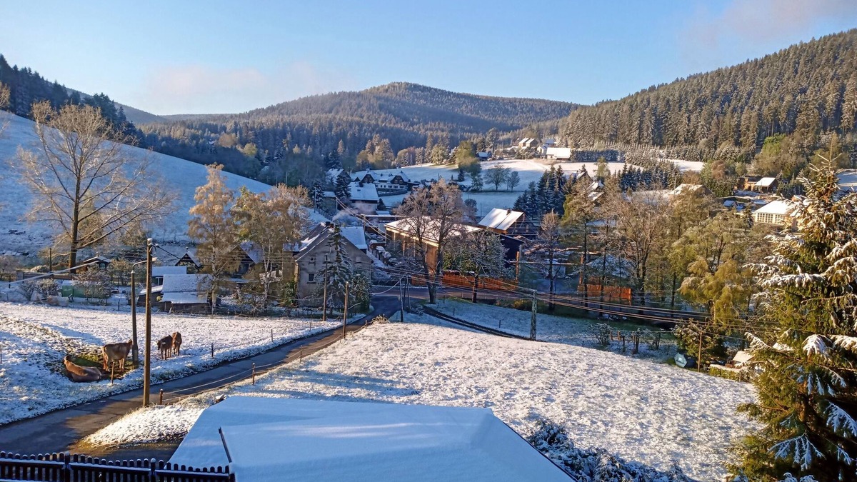 Rittersgrun Apartment | Experience the Ore Mountains up close!