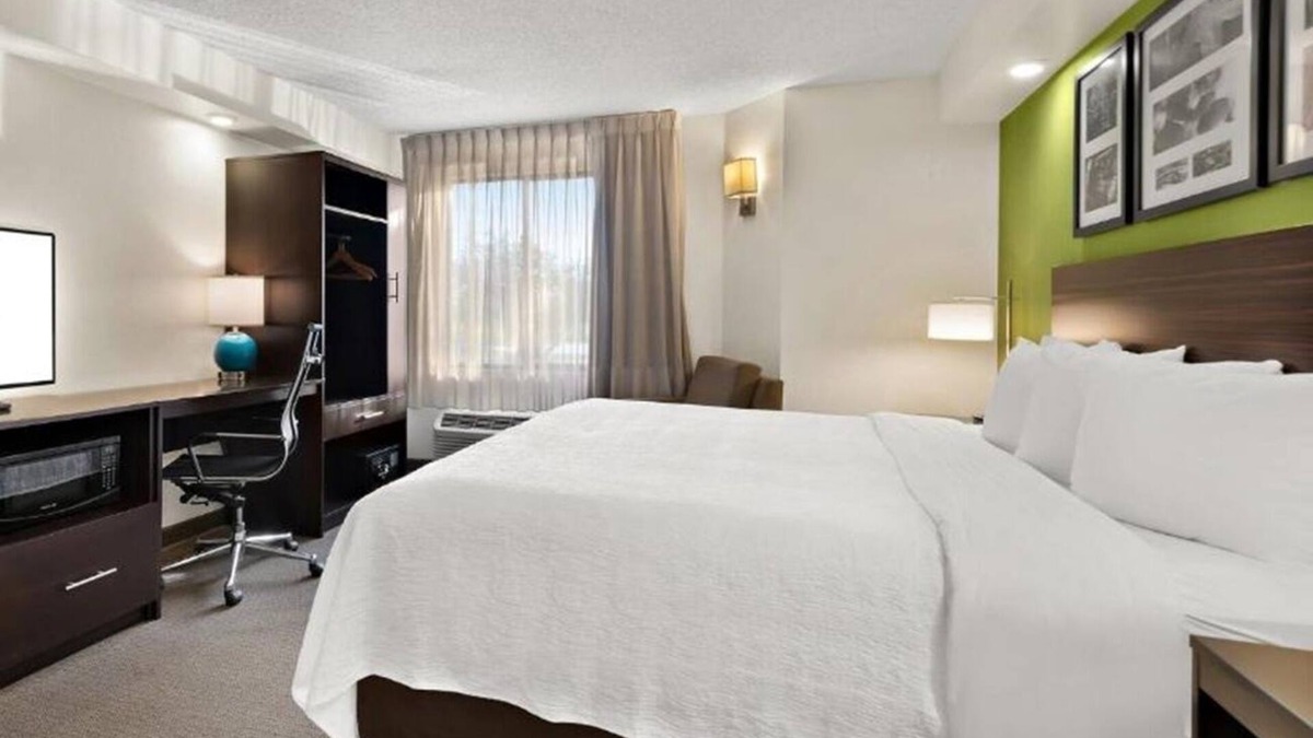 Wesley Chapel Hotel | Experience Comfort, Modern Room Near I-75 | Pool
