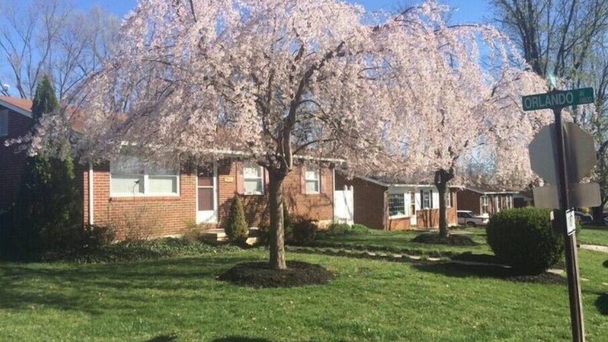 Hollins House | Experience Hollins charm near Hollins University