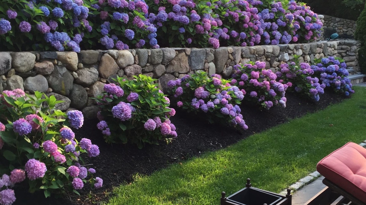 Hyannis Port House | Experience Hy-View Hyannisport Exceptional Summer Getaway