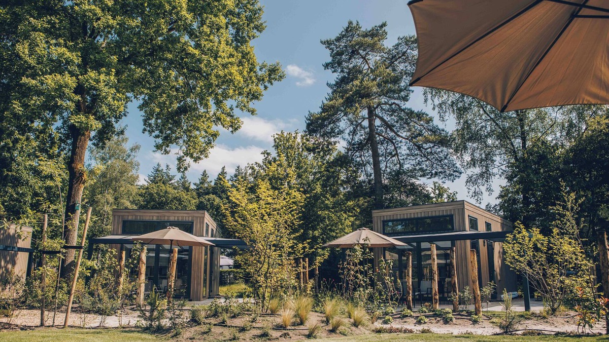 Lieren House | Experience luxury and nature in the Reeëndal Lodge on the Veluwe! With 1 bedroom and 1 sleeping loft and a fully equipped kitchen and air conditioning.