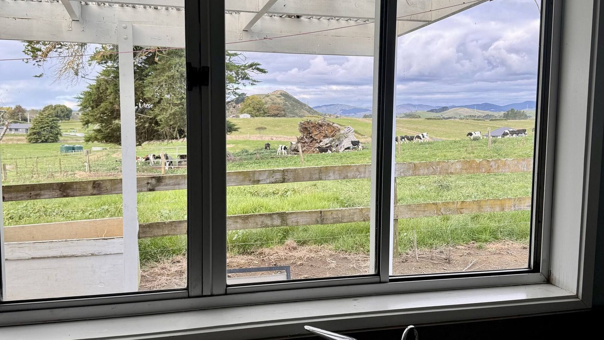 Waerenga Other | Experience the country life, on a working dairy/dry stock farm with a view