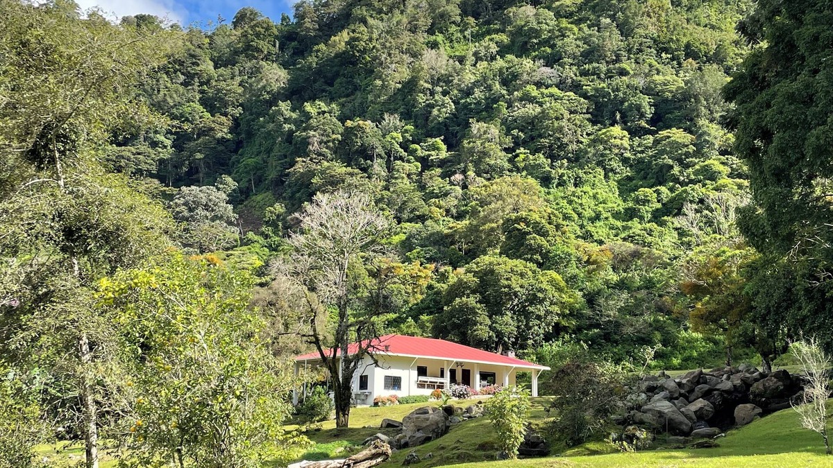 Nueva California House | Experience the spectacular natural beauty and tranquility of The Emerald Forest