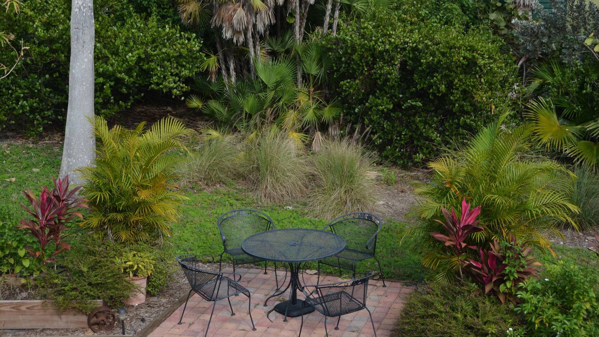 Everglades City House | Explore the Everglades!