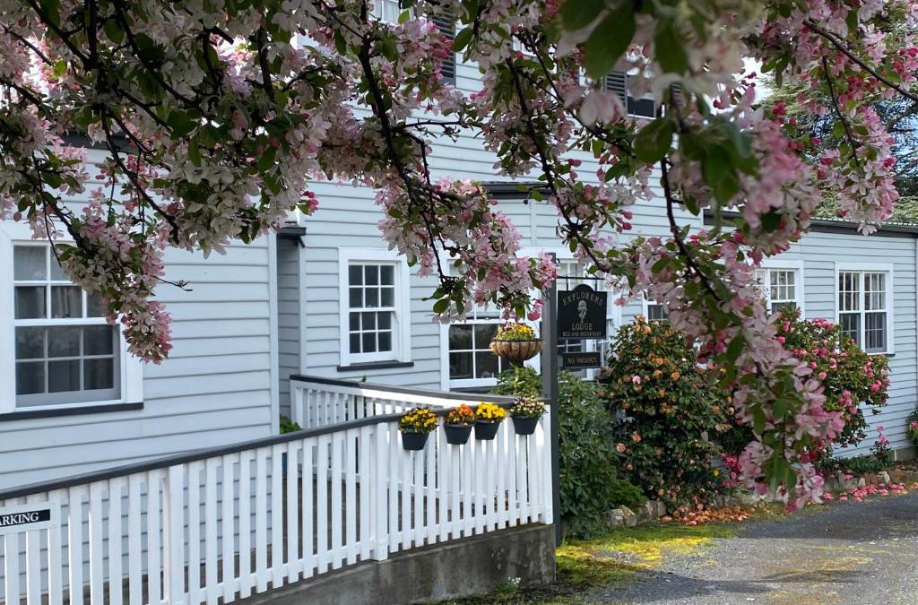 New Norfolk House | Explorers Lodge