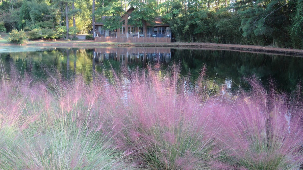 Burlington House | Extended Stay Contemporary Secluded Waterfront Lodge in Bamboo, Burlington NC,
