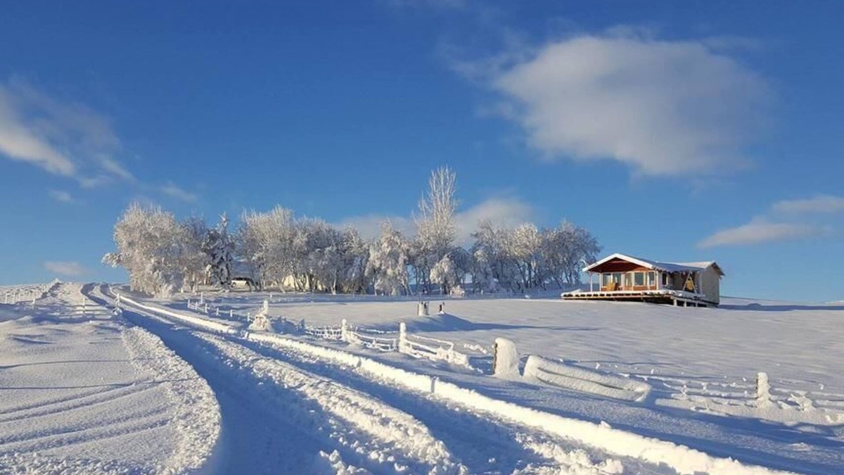 Laugarvatn Cottage | Eyvindartunga Farm Cottage