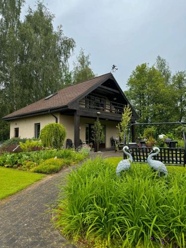 Jelgava House | Ezermāja