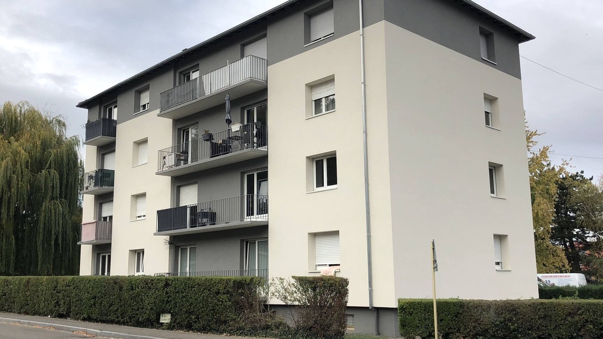 Wintzenheim Apartment | F1 in the vineyards of Alsace 5 minutes from Colmar quiet
