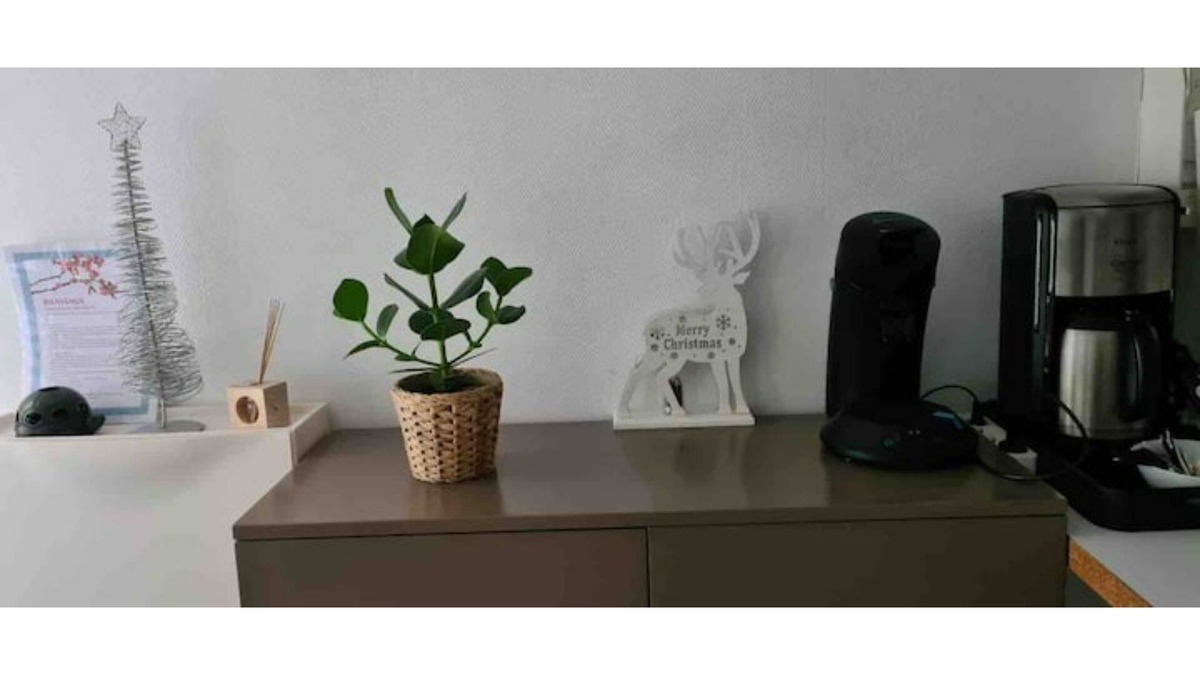 Poincare - Foch - Anatole France - Croix de Bourgogne Apartment | F2 5min from the station, duplex, quiet, 47m2
