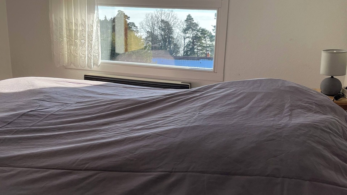 Trois-Epis Apartment | F2 quiet Trois-Épis Magnificent view, forest walks without moderation