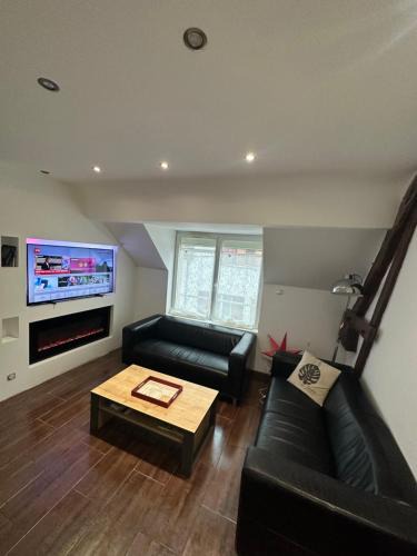 Sully-sur-Loire Apartment | F3 2CHBS TOUT EQUIPE SULLY CENTRE