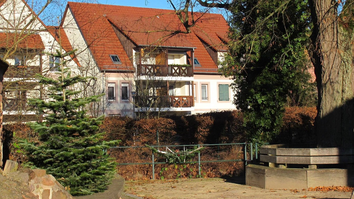 Bourgheim Apartment | F3 apartment, 3km from Obernai, Strasbourg, Europa Park and Rulantica!