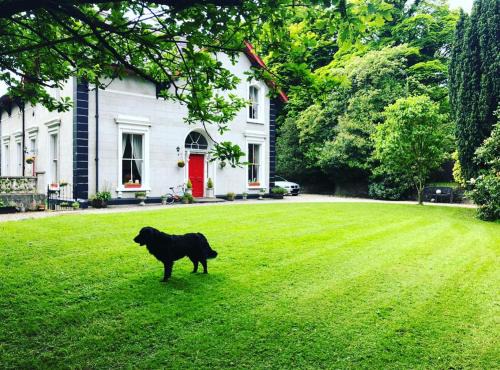 Londonderry Villa | Fabulous 6 Bedroom Victorian Period House
