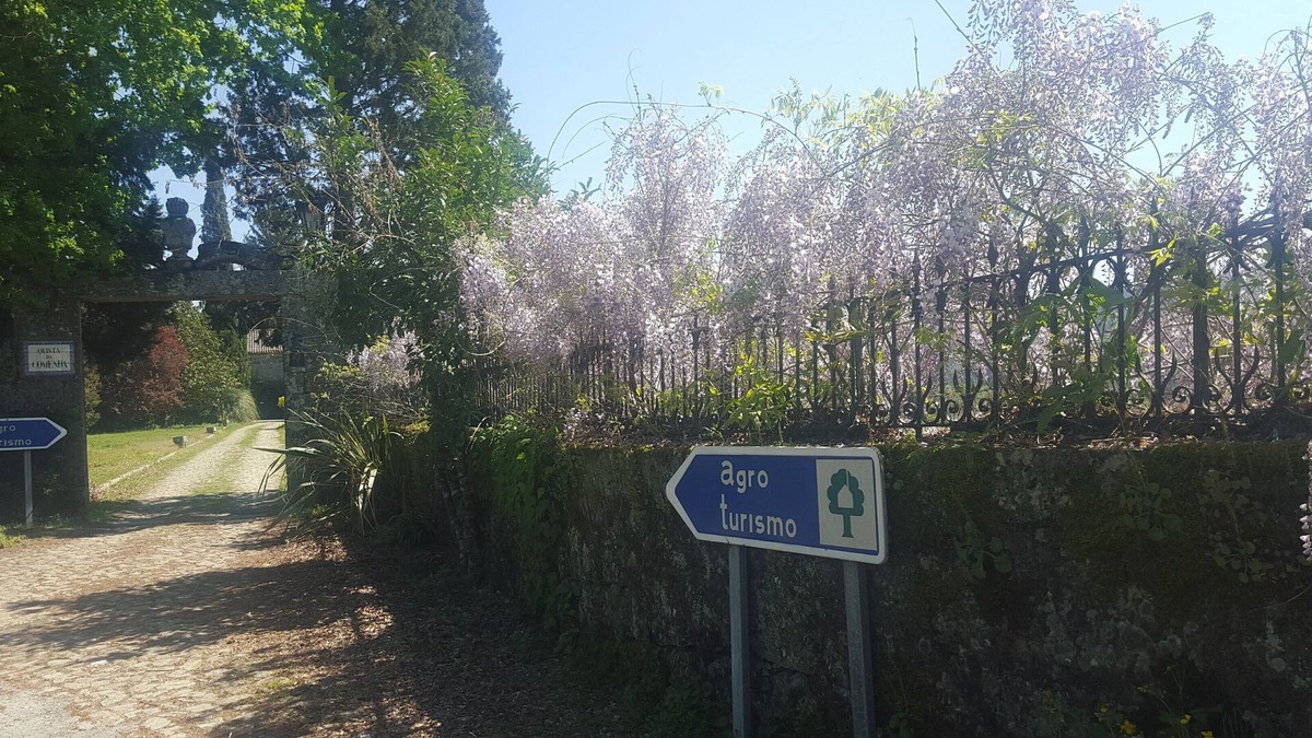 Sao Pedro do Sul Bed & Breakfast | Fabulouse Quinta da Comenda - Twin Room