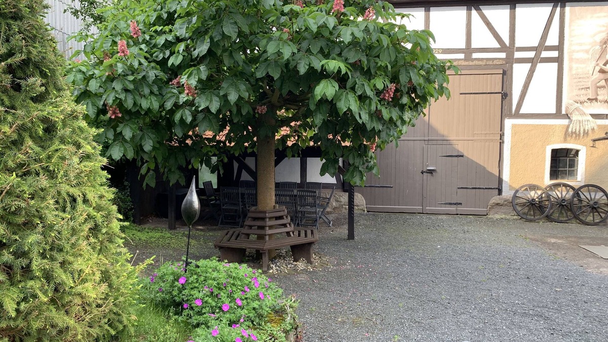 Asbach-Sickenberg House | Fachwerkhäuschen mit Charme und Charakter