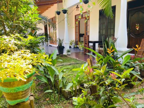 Kimbissa House | Fairview Dill homestay