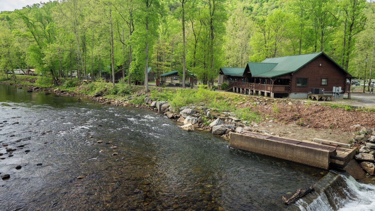 Elkins Cabin | Fall Foliage Riverfront Cabin w/Hot Tub, King Bed, EV & Firepit & Mountain Views