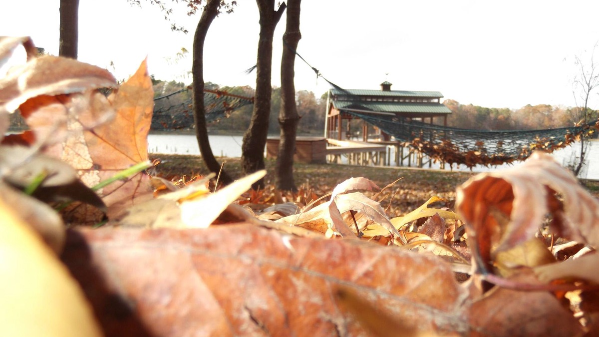 Whispering Hills Cabin | Fall Time! Lakefront Log Cabin, 3/2, Dock, Fire Pit, Fish, Swim, Views, Relax +