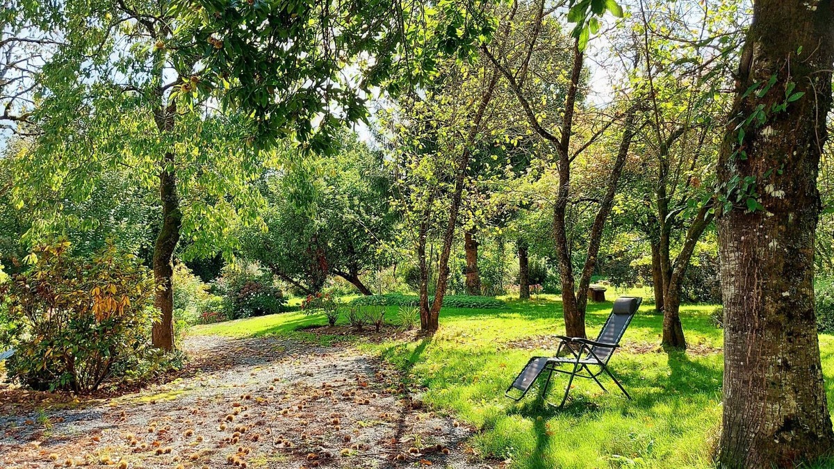 Saint-Thomas-de-Courceriers Bed & Breakfast | Family-Friendly Treehouse with Modern Comforts, Farm Animals, Pool, and Fishing Near Historical Sites