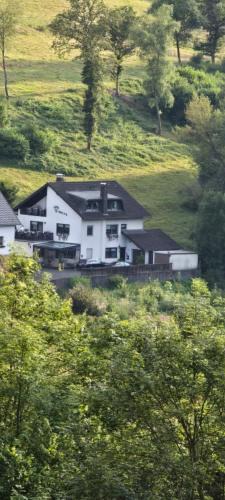 Muerlenbach Apartment | Familiehuis Dolve