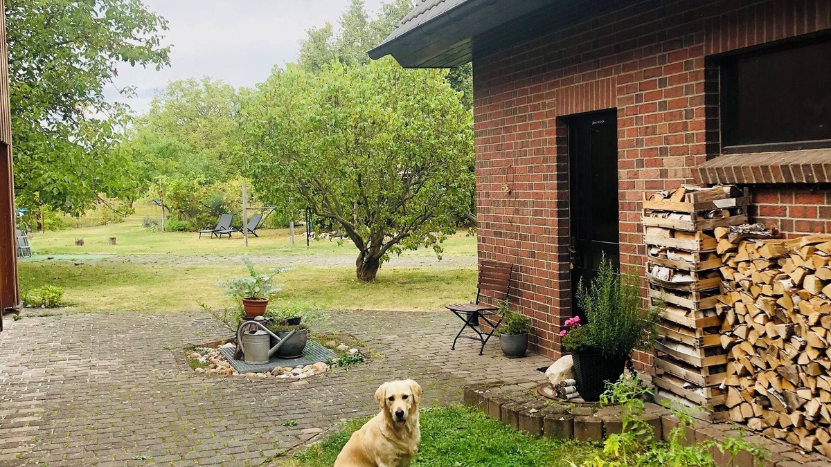 Doberlug-Kirchhain Apartment | Familienfreundliche Fewo mit Großem Garten. Hunde Willkommen