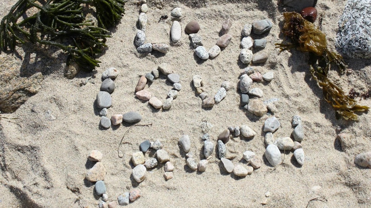 Black Point Cottage | Families, Friends, Pet Friendly.