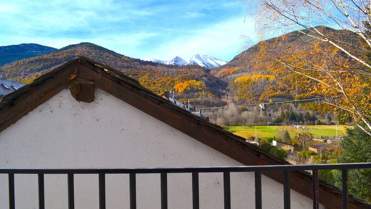 Esterri D'Aneu Apartment | Family and central apartment
