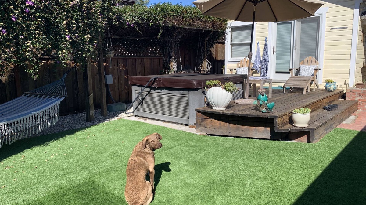 Opal Cliffs House | Family and pet friendly close to beaches. SC Rental Permit 241396