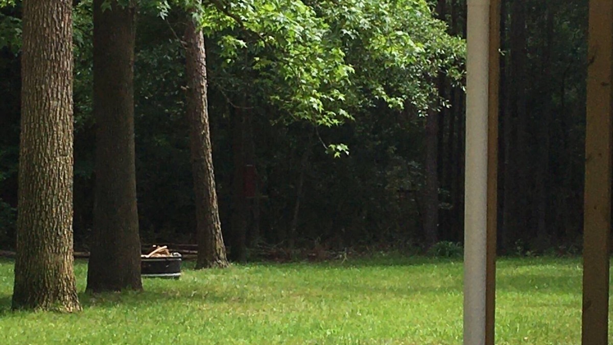 Etoile House | Family and Pet friendly- Shirley Creek lake house at Sam Rayburn!