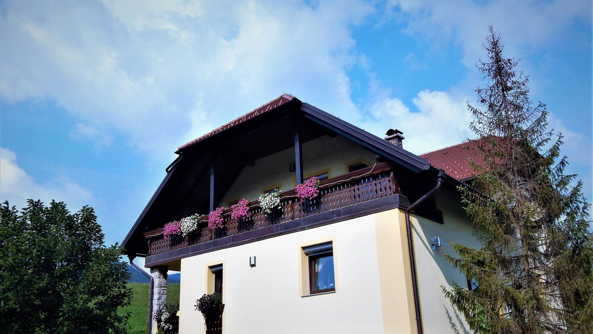 Ljubno ob Savinji Apartment | Family apartment Ana
