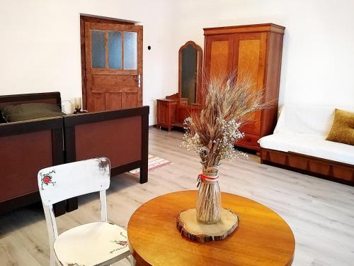 Zadiel Apartment | Family Apartman Szádelő - Zádiel