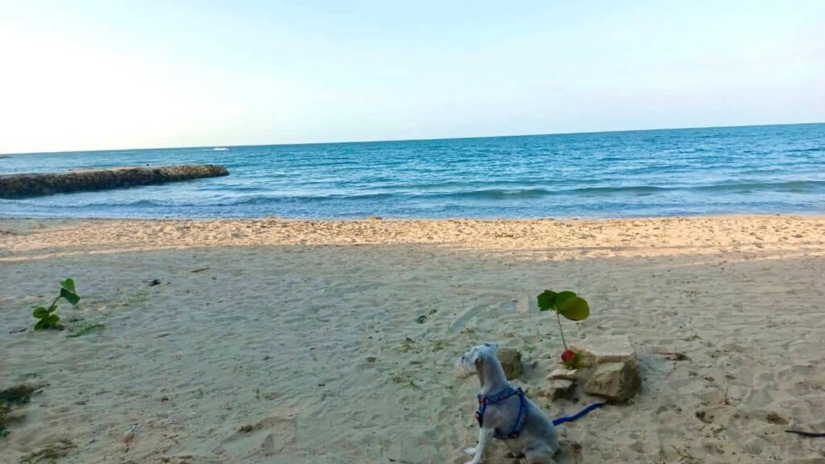San Antero Apartment | Family cabin in coveñas 100 meters from the beach