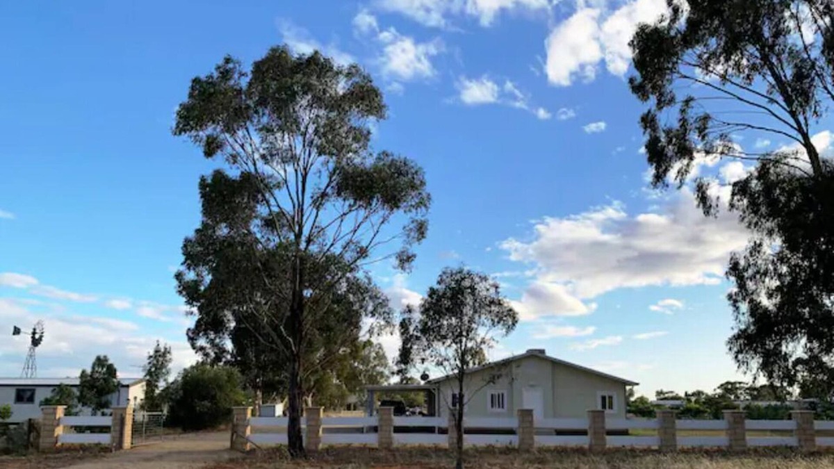 Bearii House | Family Cabin near Murray, Sleeps 6, Dogs ok