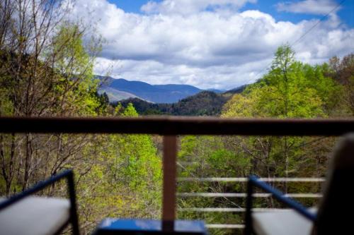 Robbinsville Ski Chalet | Family Cabin Near Smoky Mtn Entrance Nantahala