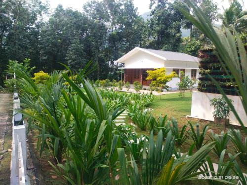 Thattekkad House | Family Cottage at Merlys Fruit Garden, Thattekkad