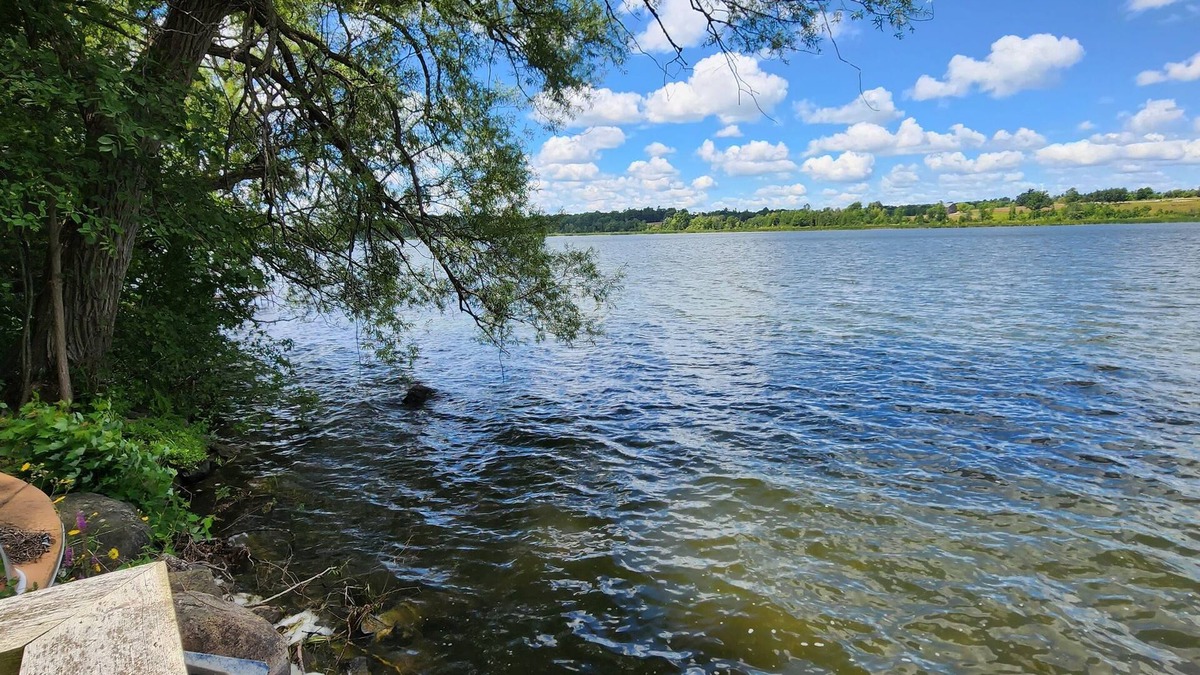 Hastings Cottage | Family Cottage Retreat on Rice Lake n(Sleeps 7 & 2 Bathrooms)