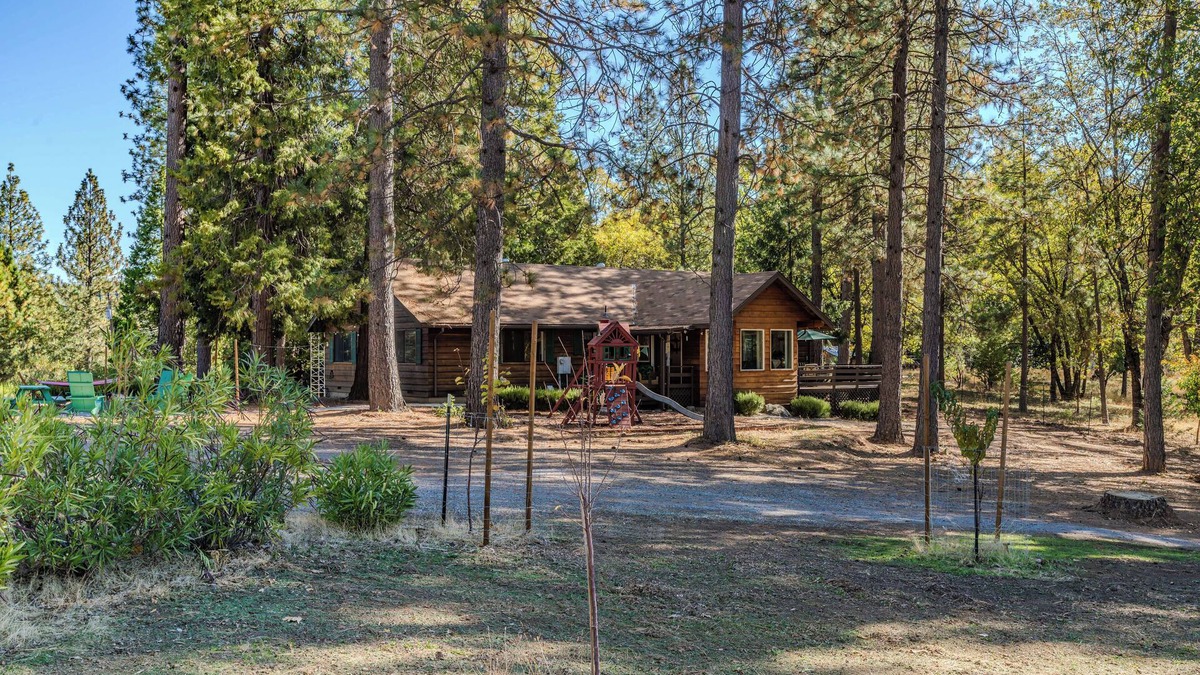 West Point Cabin | Family & Dog friendly Fenced 5Acr: Pool Table, Playground, Firepit, BBQ, Starlnk