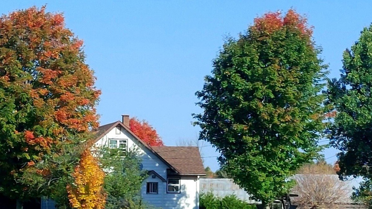 Bonnechere Valley Other | Family Farmstay Adventure – Rural Escape with Farm Fun & Space to Explore!