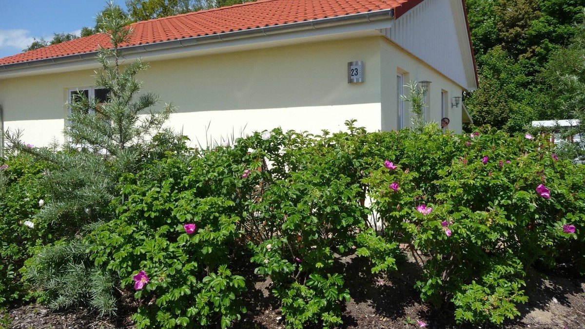 Pelzerhaken House | family-friendly, comfortable accommodation, 2 terraces, 200 m to the beach